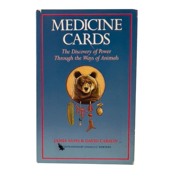 Medicine Cards Discovery of Power Throughout Ways of Animals Book Cards Vtg1988 - Picture 1 of 14